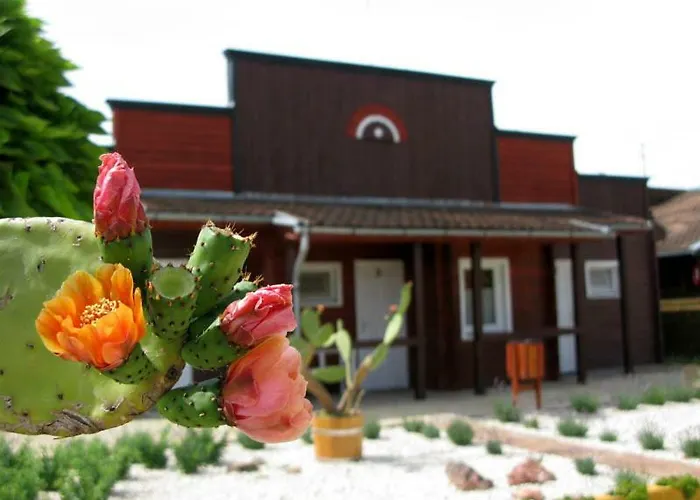 Convoy Panzio Couette-café